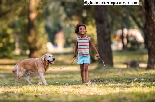 Marketing Roam Pets Digital 