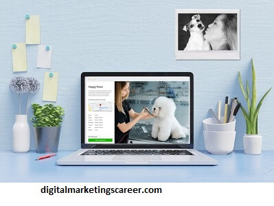 5 Dog Digital Marketing Web Page Design And Importance