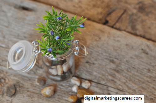 Digital Marketing In life Sciences