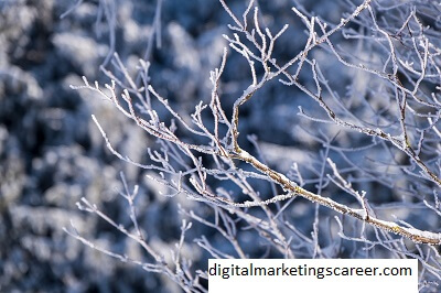 Digital Marketers In Winter Park Florida