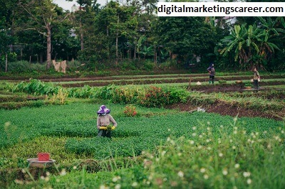 Lake Market Oswego Farmers