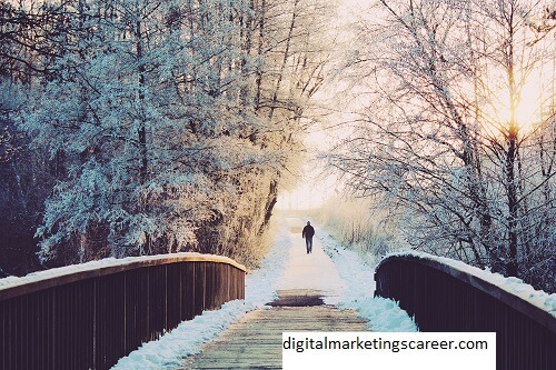 Digital Marketers In Winter Park Florida