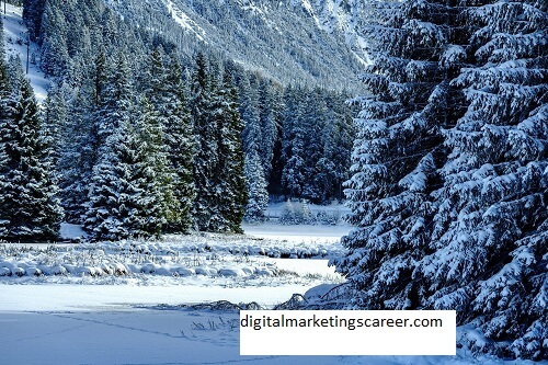 Digital Marketers In Winter Park Florida